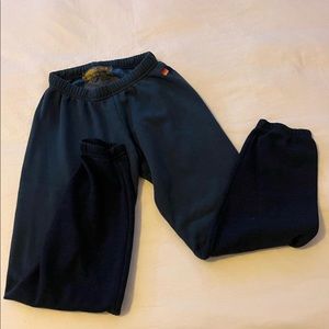 Ombré Aviator Nation Sweatpants